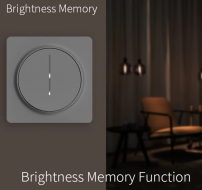 ZigBee Smart Dimmer Switchi kaugjuhtimispult